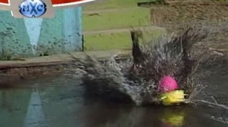 People Who P!$$ Us Off vs. Worst Jobs