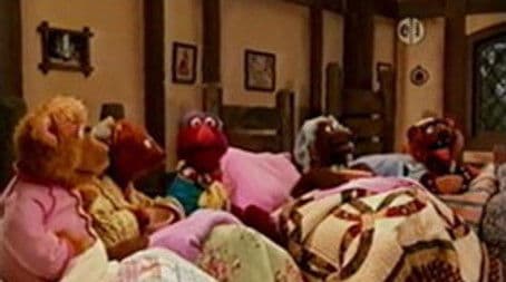 Bears Try to Hibernate