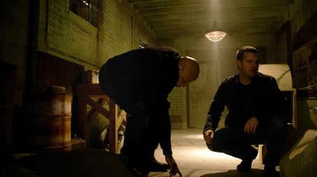 Forest for the Trees