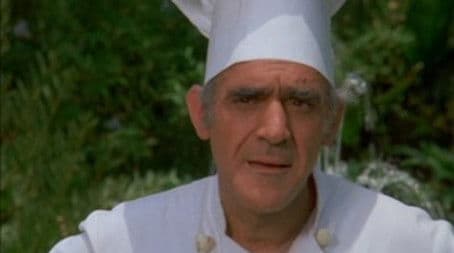 Goose for the Gander / The Stuntman