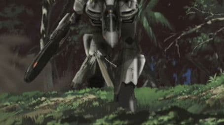 The Stars on the Earth