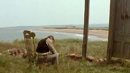 Too Close To The Sun