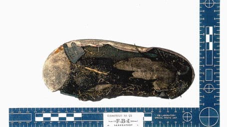 What Ever Happened to Mary Day?