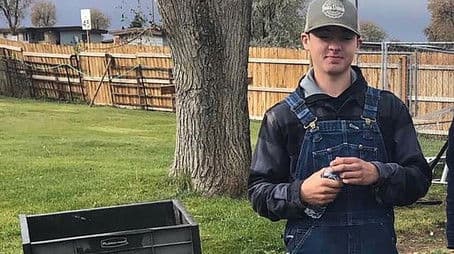 Dylan Rounds, Stranger in a Strange Land (1)