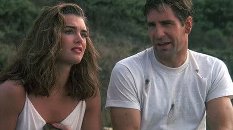 Leaping of the Shrew