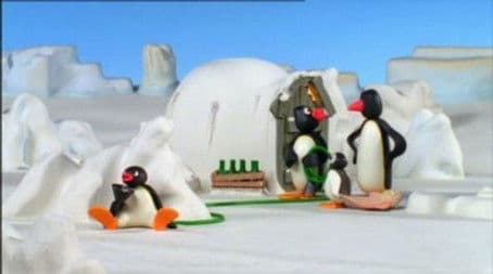 Pingu and the Hose