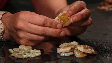 School of Hard Rocks