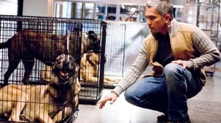 The Finger in the Nest