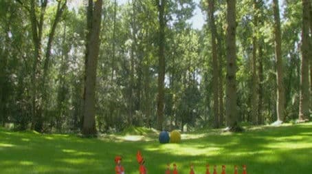 The Tombliboos and the Pontipine children Build an Arch