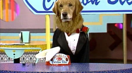 Brandon's Commercial