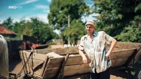 Plictiseala, gardul si inelul (1)