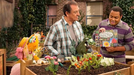 Every Plant That Ever Was