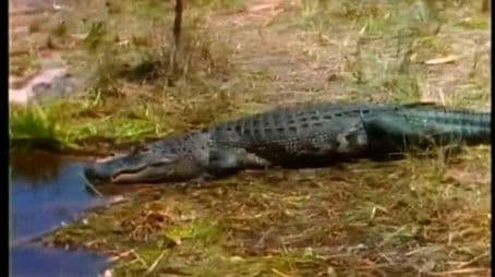 Land of the Quaking Earth