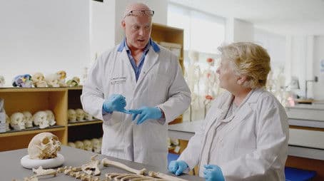 Dorset: The Durotriges Tribe