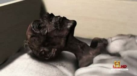 The Bodies Left Behind