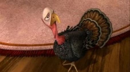 The Thanksgiving Episode