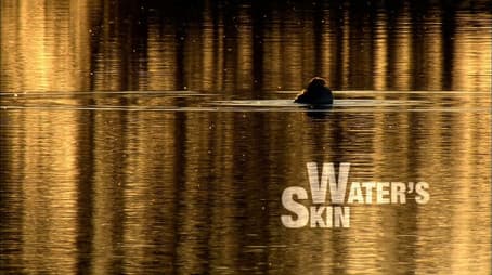 Water's Skin