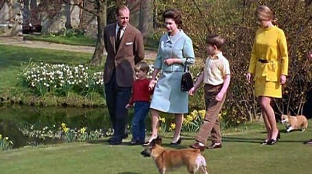 Royals & Animals: Till Death Do Us Part