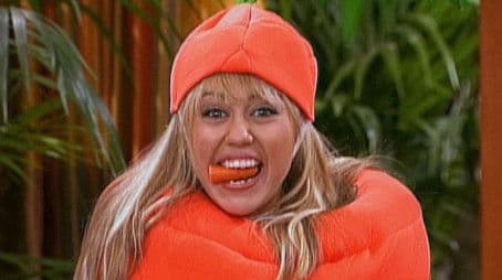 Welcome to the Bungle