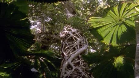 Treasures of the Coast