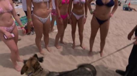 Spring Break: Bombed at the Beach