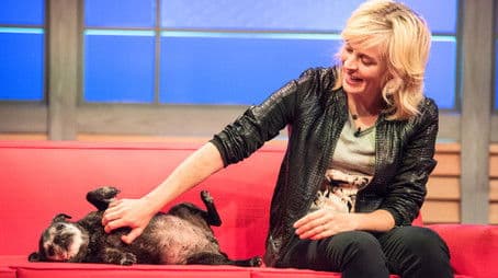 Maria Bamford; Jen Kirkman; Giant Porcupine