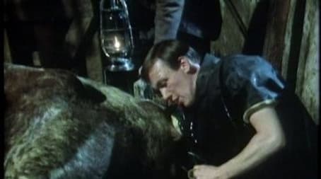 Pups, Pigs and Pickles