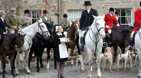 A Brush With The Law