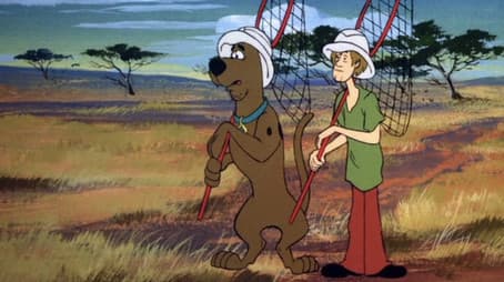 A Bungle in the Jungle