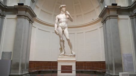 Michelangelo: David