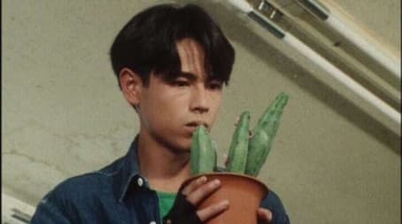 A Prickly Maiden Hunt