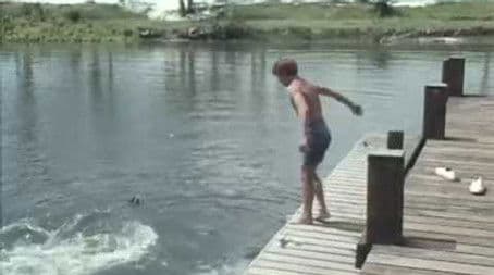 Flipper and the Mermaid