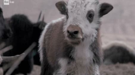 Toirano caves, liquid biopsy, Nemo's garden