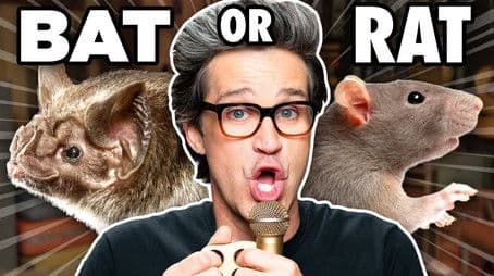 Makes These Sounds With Just Your Mouth (Guessing Game)