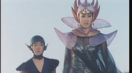 The Midnight Cinderella is Full of the Aroma of Roses