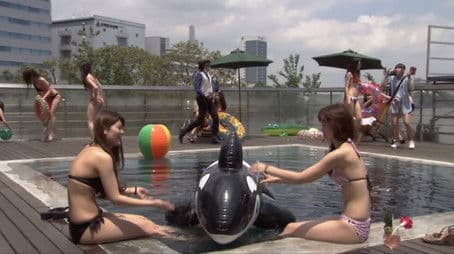 J’s Labyrinth/A Bizarre Villainess