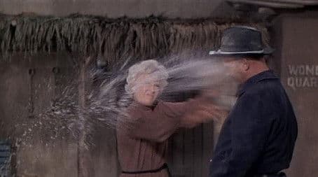 Alias Nellie Handley