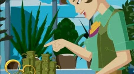 The Case of the Plant That Could Eat Your House