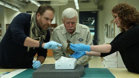 Lindbergh's Lost Rivals