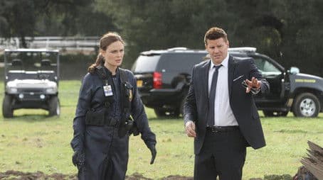 The Fact in the Fiction