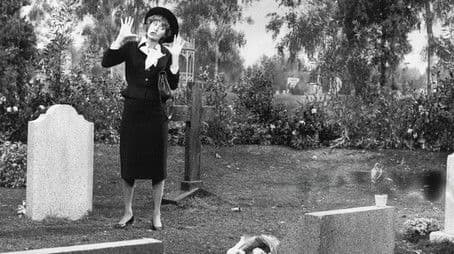 A Visit to the Cemetery