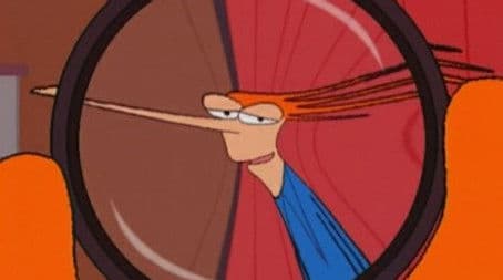 Life Through a Fisheye Lens