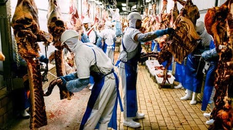 Meathooked & End of Water