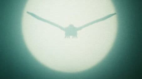 Blitzkrieg!! The Strange White Bird