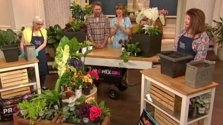 Thursday, May 15, 2025