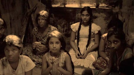 Truth Will Set You Free