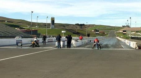 Young Scientist Special