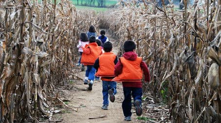 Gosselins, Goblins & Ghouls