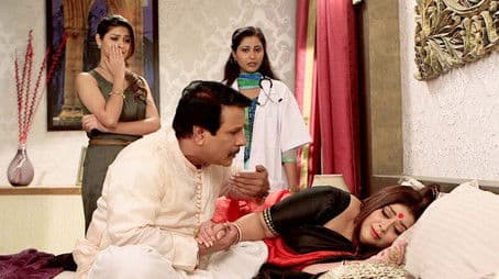 The Dog Bites Surili