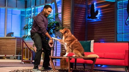 George Lopez; Suzy Nakamura; Agility Dogs